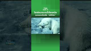 โลกร้อนกระทบขั้วโลกเหนือ อนาคตอาจไม่เหลือ "หมีขั้วโลก"  | TNN EARTH | 21-05-24