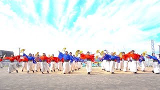 [4K]チーム鬼灯　神戸よさこい2017 マリンピア神戸会場