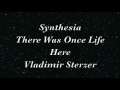 synthesia tutorial vladimir sterzer there was once life here black mirrors