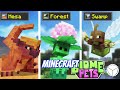 Minecraft but Pets Beat the Game for you