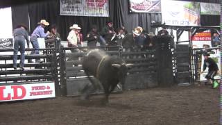 Top Bull: Hey Jack puts down Jared Parsonage PBR)