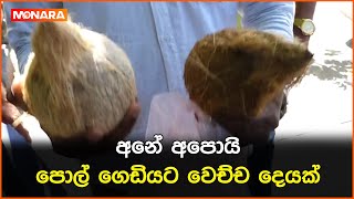 අනේ අපොයි! පොල් ගෙඩියට වෙච්ච දෙයක්