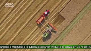 Crește cererea de cereale, scad suprafețele agricole