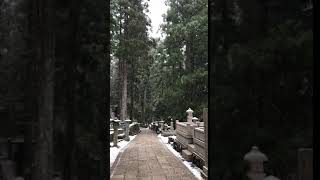 高野山　雪の奥の院