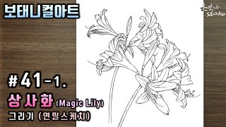 보고파도 이루지 못하는 사랑꽃 | 상사화 꽃 드로잉 | Magic Lily Flower Drawing