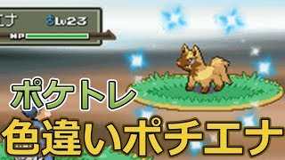 【ポケモンPt】ポケトレで色違いポチエナゲット！【ポケモンプラチナ】