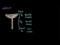 global inequality social inequality mcat khan academy