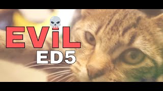 ED5 - EViL (Official Video)