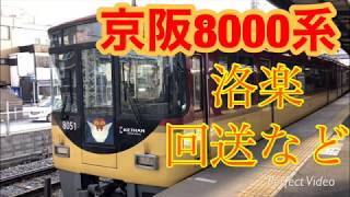 【洛楽・回送列車など】京阪8000系　通過発着集