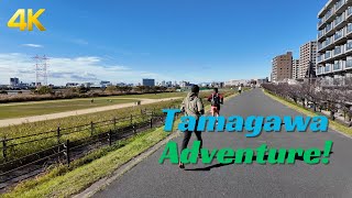 【4K】Exploring Tokyo by Bike: Haneda to Tamagawa River Ride! - Tokyo Japan