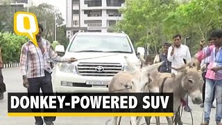 Donkey Power Runs a Businessman’s Land Cruiser in Surat