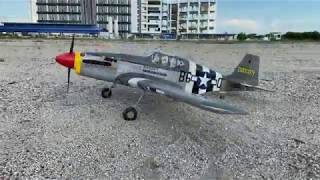 VQ model P-51 from HobbyKing maiden