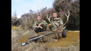 Big Sika Stag - Winter Hunting Compilation