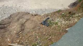 Skipsea / UIrome sands coastal erosion. Road falling into sea. Video 2