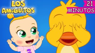 Cu Cú ¿Dónde Estoy? 👶🏼 | Canción Colección | Los Amiguitos Canciones Infantiles