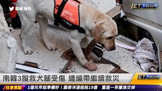 南韓3搜救犬腳受傷　纏繃帶繼續救災｜20230216 ET午間新聞