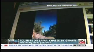 Tourists on safari chased by giraffe (June 25, 2013)