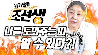 위기탈출 할 때 나를 도와주는 띠를 알 수 있다 ? 나의 운을 관장하는 띠는 어떤 띠일까 ?