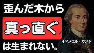 【カントの名言から学ぶ】「人間教育に役立つ哲学的思考法をわかりやすく解説！」