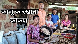 कोकणात नफा व रोजगार देणारा घरगुती काजू कारखाना (स्नेहल कॅशु ) |cashew factoy nadgav railway station