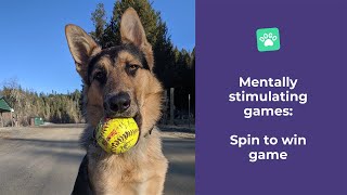 Mentally stimulating games: Spin to Win game