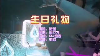 薇薇 《生日礼物》DJ细霖 FunkyHouse  KTV 导唱字幕 （备有伴奏视频）