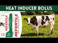 Refertile - Heat Bolus For Cattle