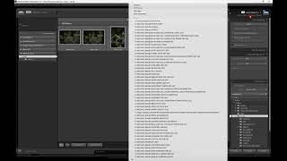 THE BEST WAY TO IMPORT INTO LIGHTROOM