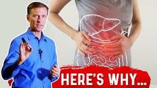 How do Probiotics Work for Fatty Liver Disease? – Dr. Berg