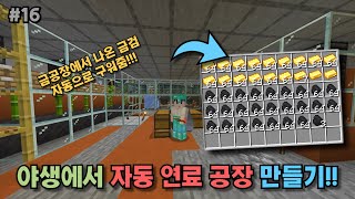 야생에서 자동 연료공장 만들기!! 금공장에 굳이 석탄 안 넣어줘도 됨!![마인크래프트 BE 1.21야생 16일차!]