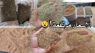 أسعار الزنجلان واللوز البلدي والرومي💰 طريقة غسل الزنجلان👌🏻وكذلك الطريقة الصحيحة لتنظيف النوافع 🇲🇦