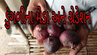 ડુંગળીના મેડા ||ડુંગળીનું સ્ટોરેજ #ડુંગળી #onion #ડુંગળીનાભાવ