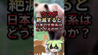 クマが絶滅すると日本の生態系はどうなるのか？#ゆっくり解説 #ずんだもん #動物