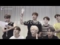 hit鬼掛け声誕生の瞬間 セブチ日本語字幕【hit 応援方法 behind】 seventeen 세븐틴