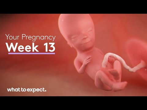 Do babies have fingernails at 13 weeks?