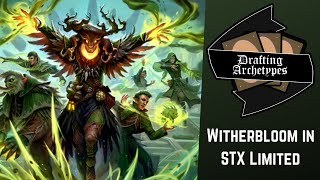 How to Draft Witherbloom in Strixhaven with Sam Black (Drafting Archetypes Podcast)