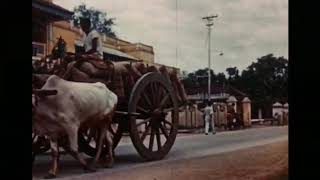 Old Vellore | Vellore