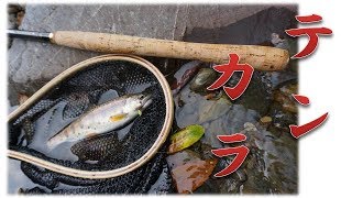 2018年宮崎県渓流釣り第６回『 Tenkara fishing編』