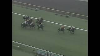 ダイタクヘリオス 1991年 第42回毎日王冠(GII) (優勝馬：プレクラスニー) (実況：ラジオたんぱ)