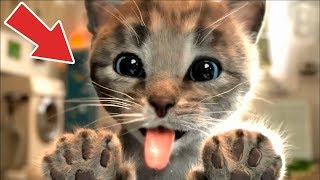 Sevimli Kedi Kostüm Partisi #Çizgifilm Tadında Yeni Oyun
