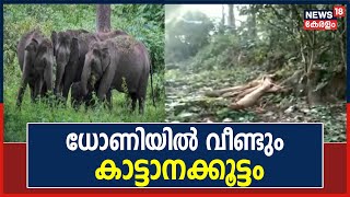 Malayalam News | Attappadiയില്‍ വീണ്ടും കാട്ടാന ആക്രമണം; കൃഷി നശിപ്പിച്ചു | Kerala News