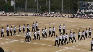 泉陽高等学校体育祭　新団　2013．06．12