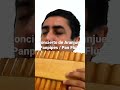 concierto de aranjuez panpipes pan flute