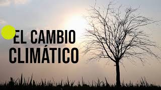 ¿ES POSIBLE REVERTIR EL CAMBIO CLIMÁTICO? - ECO FRIENDS