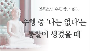 수행 중 '나는 없다'는 통찰이 생겼을 때ㅣ일묵스님ㅣ초기불교 제따와나선원 수행법담 385.