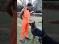 Erick omondi made Bien apologize to  dog live on camera using his phone #bien #erickomondi  #shorts