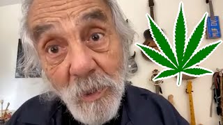 Old Weed vs New Weed with Tommy Chong | Wild Ride! Clips