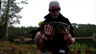 CRAZY DECEMBER Top Water Fishing