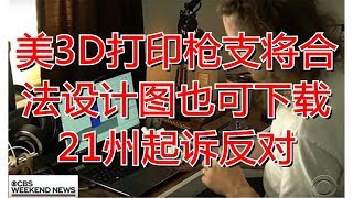 美3D打印枪支将合法设计图也可下载 21州起诉反对