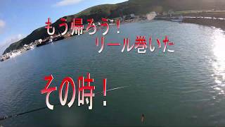 北海道の鮭釣りVLOG 朝活8日目 Salmon Fishing 2019.9.21